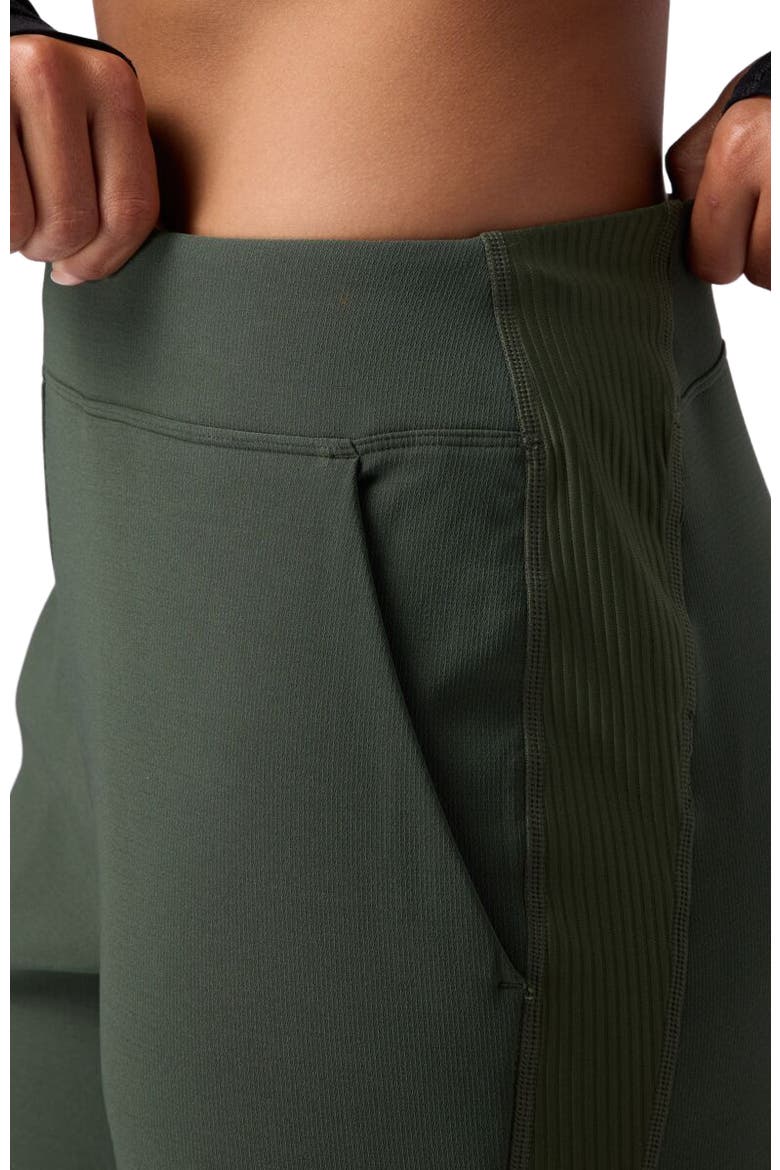 Bga Destination Softshell Fleece Pant - Women's, Alternate, color, Climbing Ivy