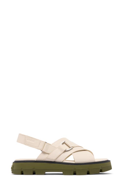 Sorel Rein Cb Crisscross Sandal In Chalk/utility Green