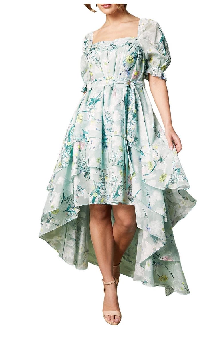 Coast Short Sleeve Printed Chiffon Midi Dress, Alternate, color, Green