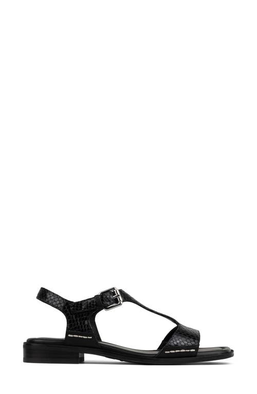 DONALD PLINER DONALD PLINER DRIA T-STRAP SANDAL