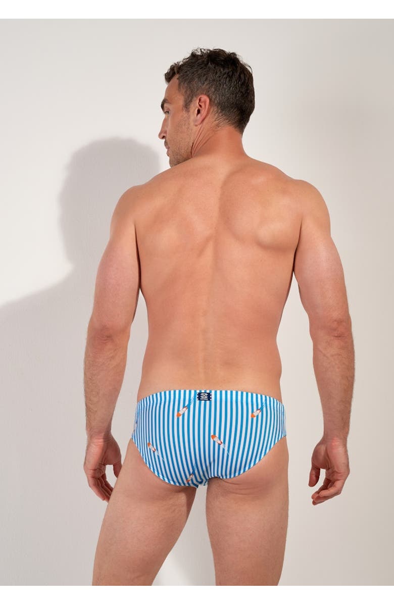 HOM Viareggio Swim Mini Briefs, Alternate, color, Blue And White Stripes