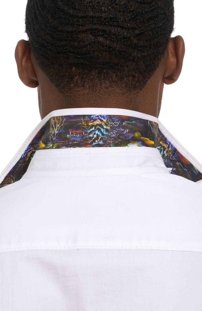 Robert Graham Après Ski Stretch Cotton Graphic Button-Up Shirt, Alternate, color, 