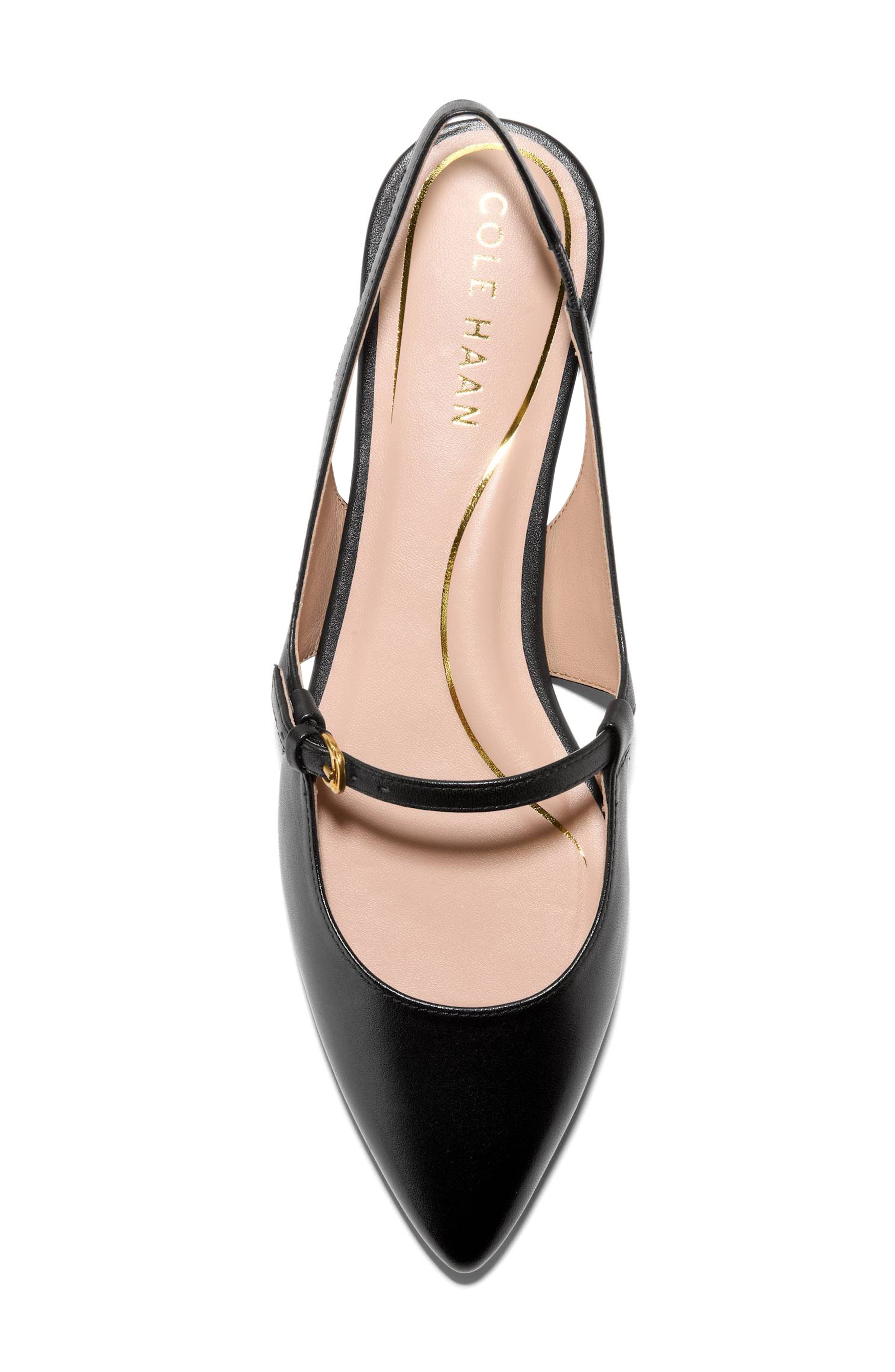 Cole Haan Anya Slingback Mary Jane Pointed Toe Flat, Alternate, color, 