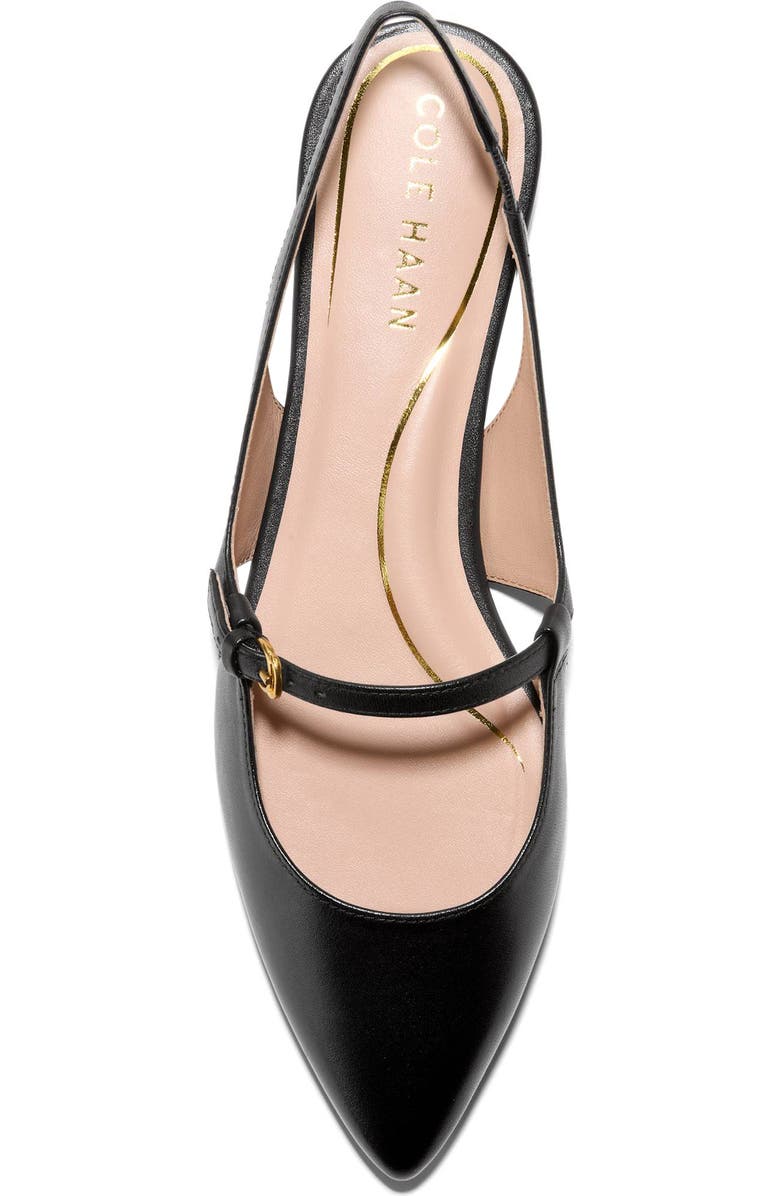 Cole Haan Anya Slingback Mary Jane Pointed Toe Flat, Alternate, color,
