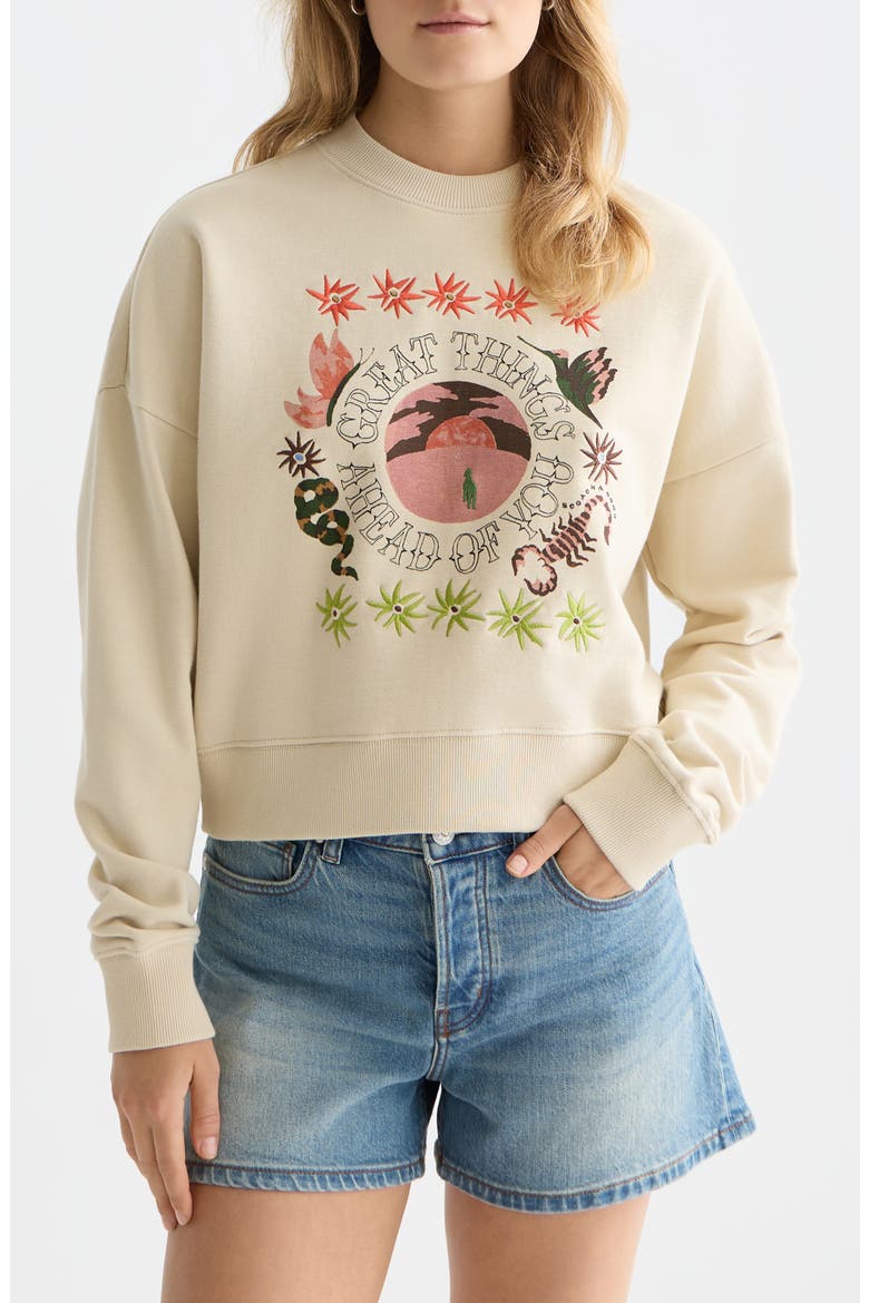 Artwork Embroidered Cotton Sweatshirt, Main, color, FOG