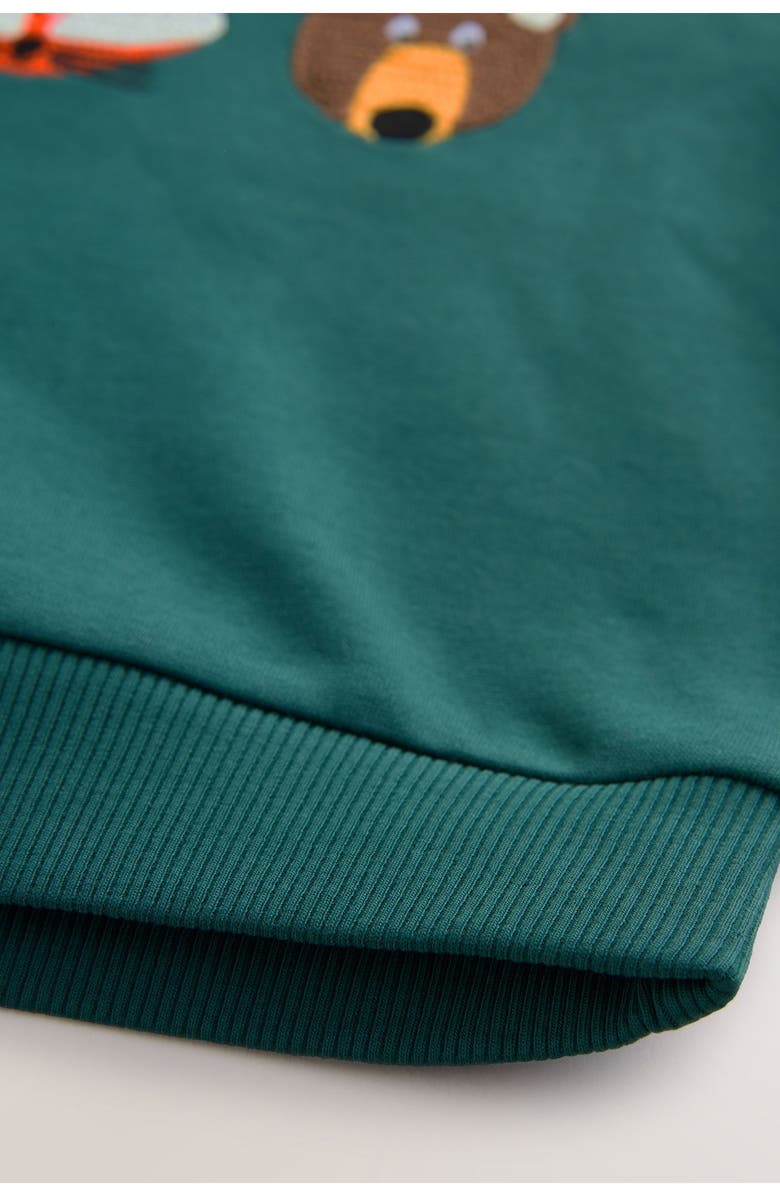 NEXT Kids' Colorblock Woodland Creatures Hoodie, Alternate, color, Green