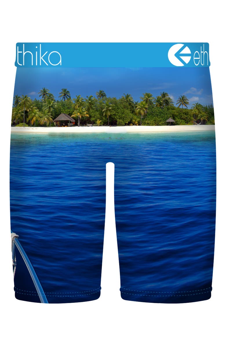 Ethika Kids' The Island Boxer Briefs, Alternate, color, Assorted Blue