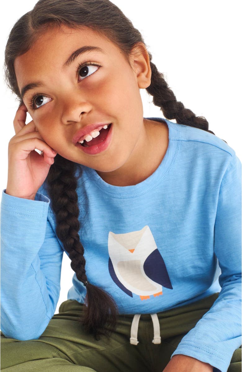 Primary Kids Long Sleeve Owl Tee, Alternate, color,