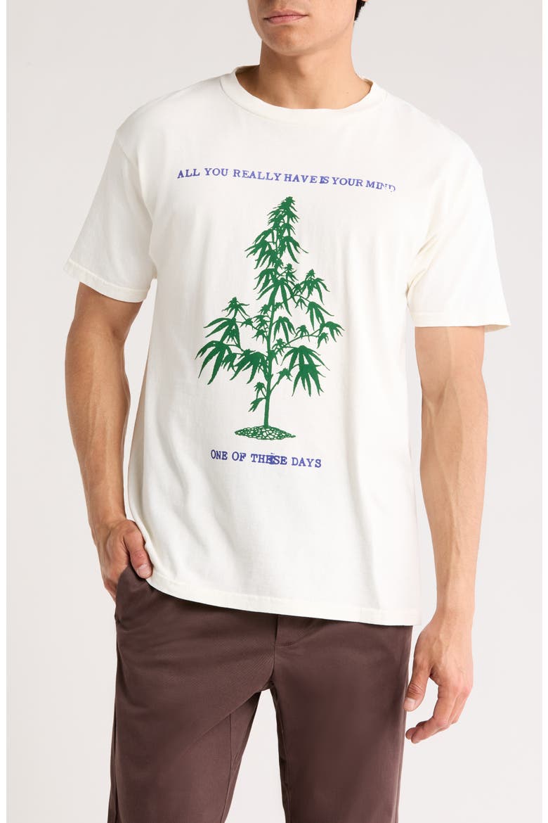 All You Really Have is Your Mind Graphic T-Shirt, Main, color, BONE
