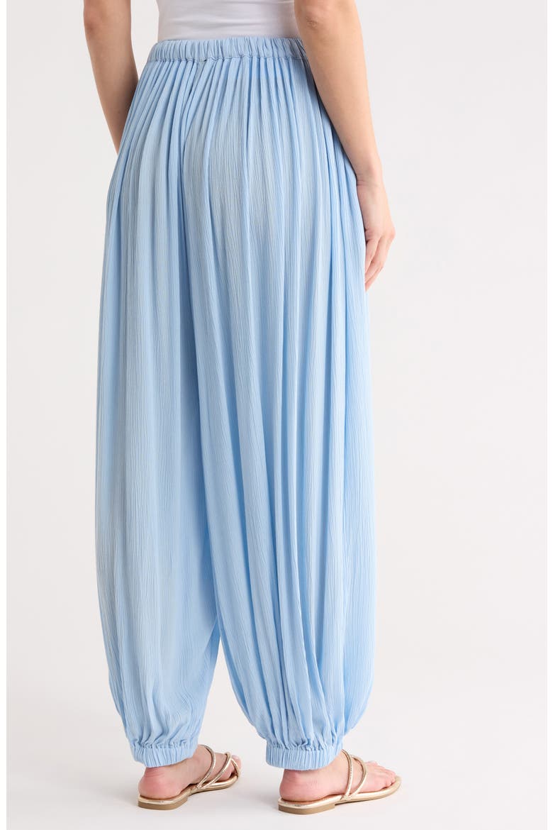 Balloon Cover-Up Pants, Alternate, color, BLUE