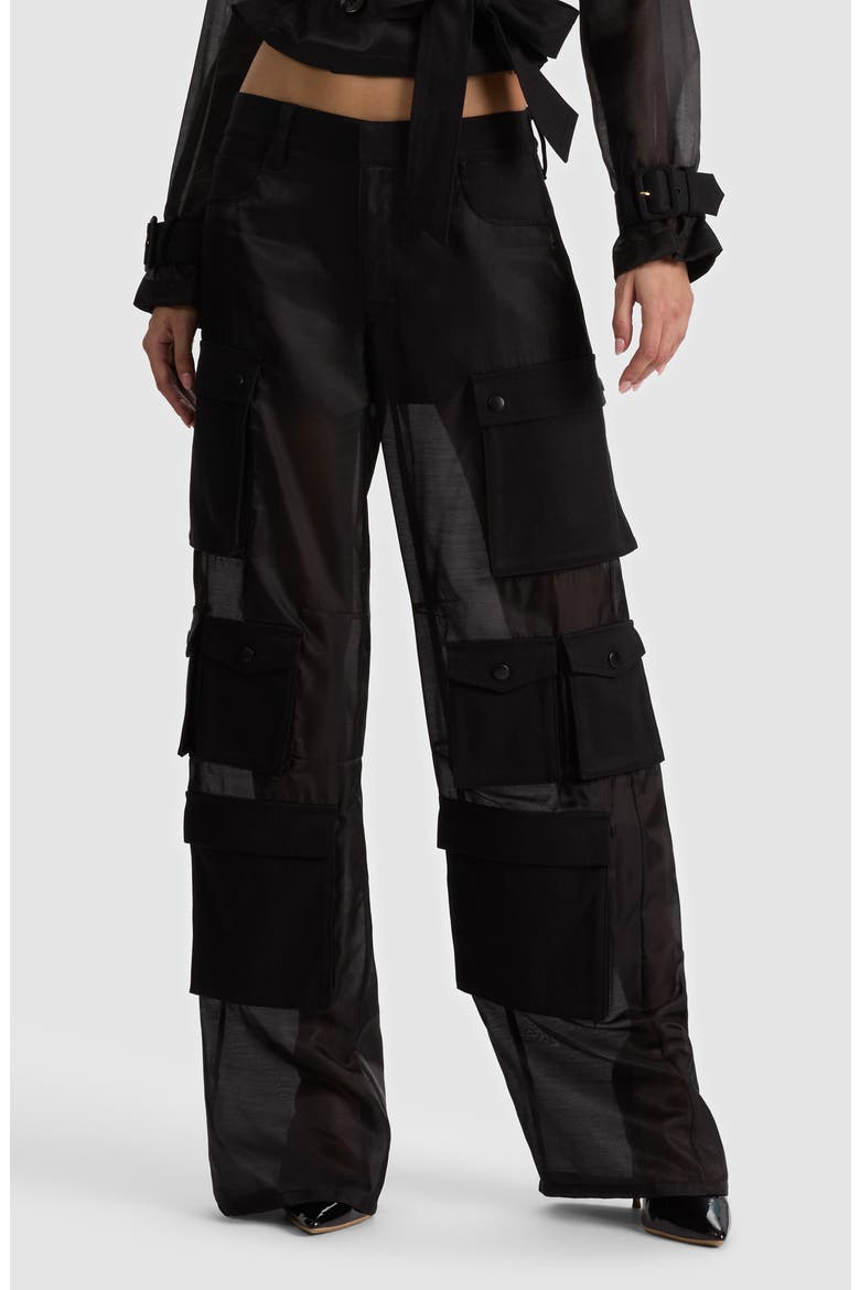 Olympia Mr. Baggy Sheer Cargo Pants, Alternate, color, BLACK