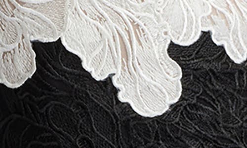 Tadashi Shoji Two-tone Floral Lace Illusion Dress In Ivory/black