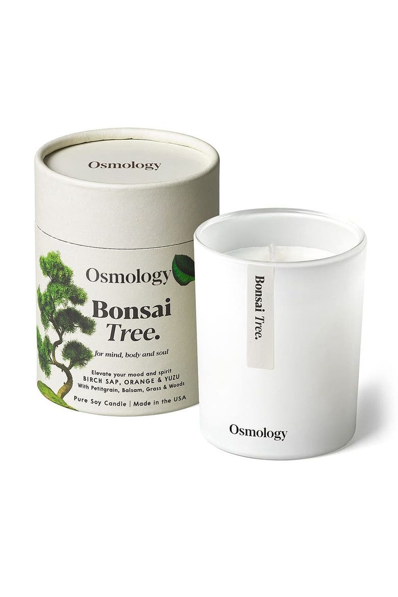 Bonsai Tree Scented Candle - Birch Sap Orange and Yuzu, Main, color, white