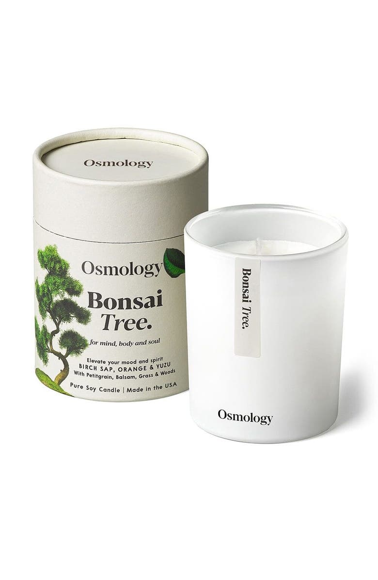 Osmology Bonsai Tree Scented Candle - Birch Sap Orange and Yuzu, Main, color, White