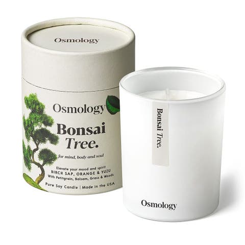Bonsai Tree Scented Candle - Birch Sap Orange and Yuzu