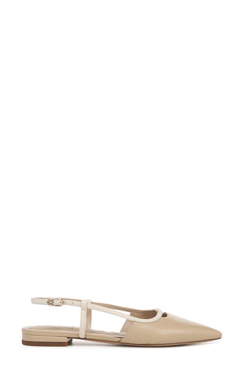 Sam Edelman Cohen Pointed Toe Flat In Oat/modern Ivory