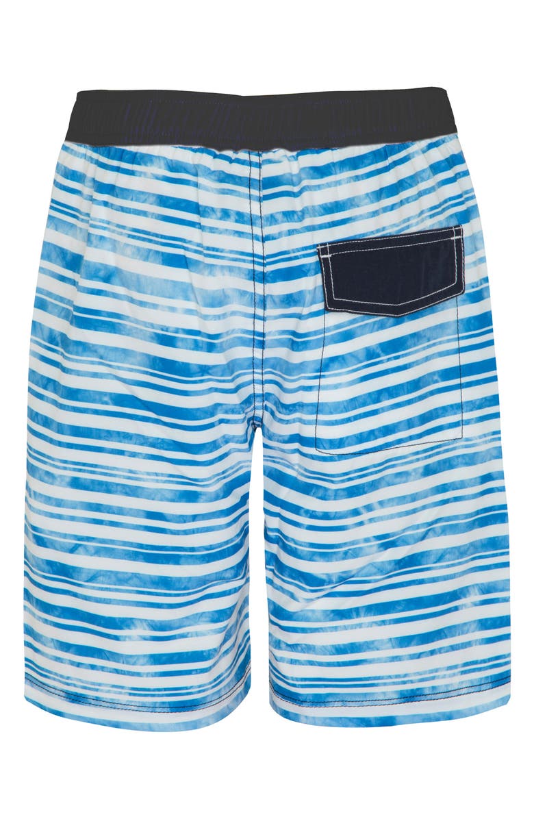 Platypus Australia Stripe Board Shorts, Alternate, color, 
