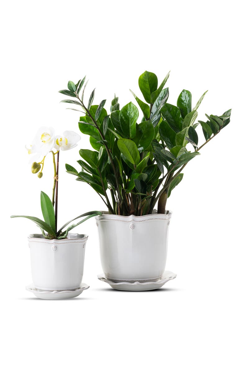 Juliska Berry & Thread Planter with Saucer, Alternate, color, Whitewash