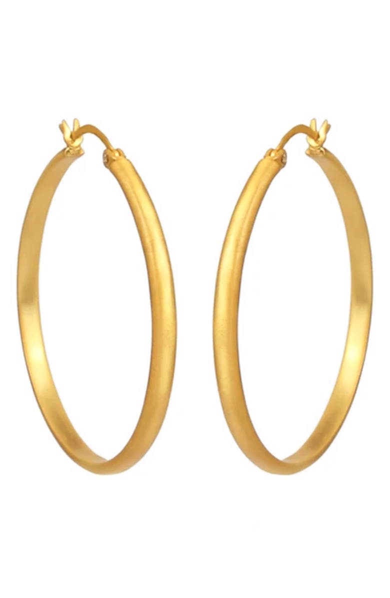 Christina Greene Simplicity Hoop Earrings, Main, color, 