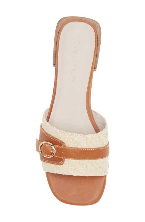 Chocolat Blu Briella Slide Sandal