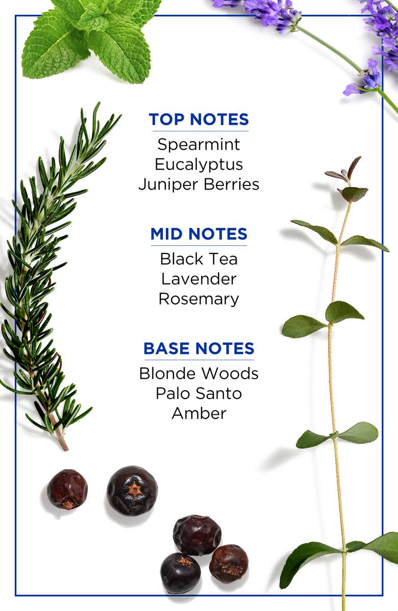 Jack Black Turbo Body Spray, Alternate, color,