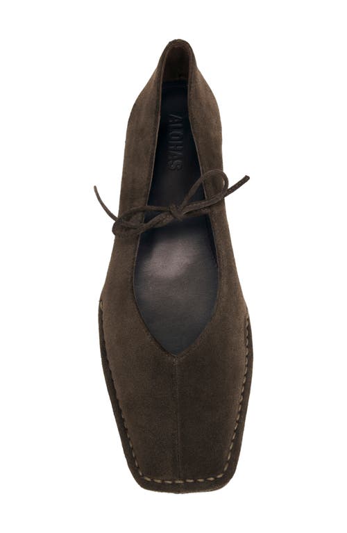 Alohas Sway Square Toe Ballet Flat In Brown
