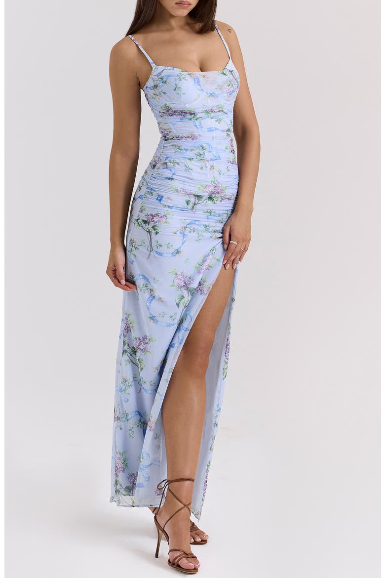 Lini Corset Chiffon Gown, Alternate, color, BLUE FLORAL PRINT