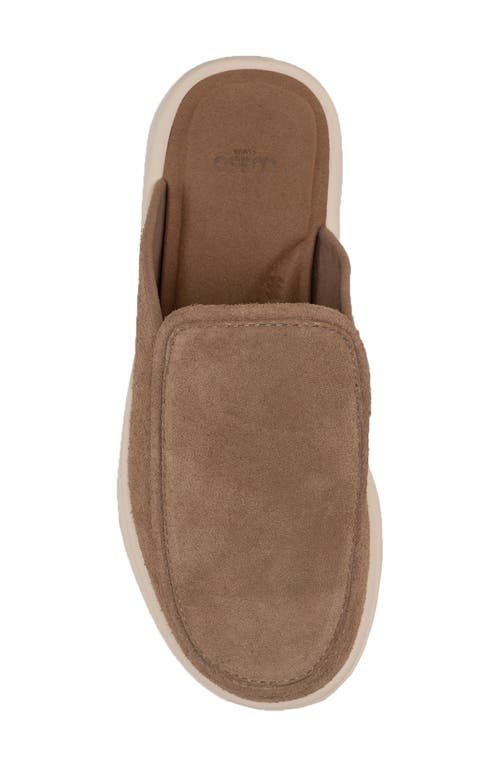 Lusso Cloud Esto Clog In Chestnut/shortbreaddnu