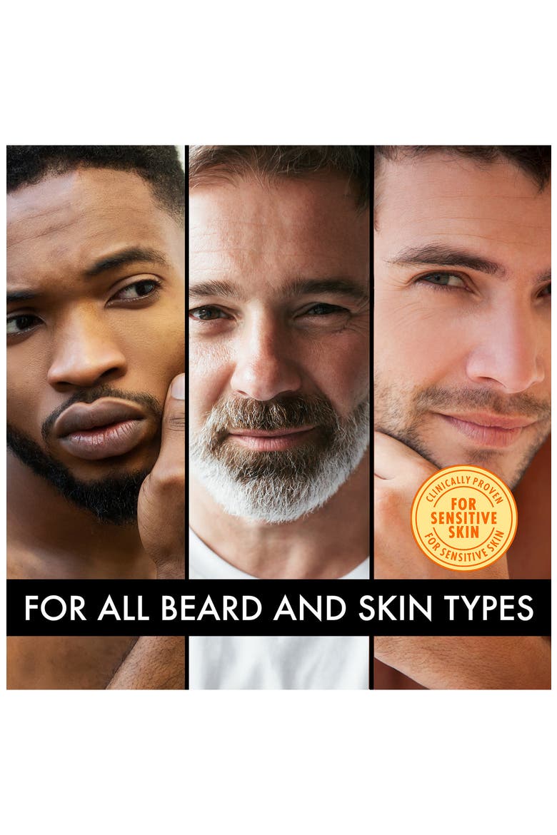 The Beard Mastery Kit, Alternate, color, NO COLOR