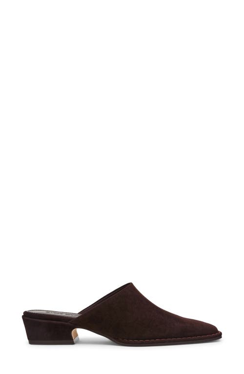 Steve Madden Dessa Mule