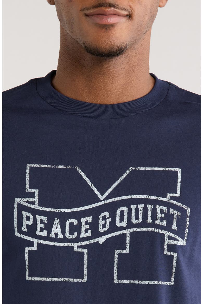 Banner Logo Cotton T-Shirt, Alternate, color, NAVY