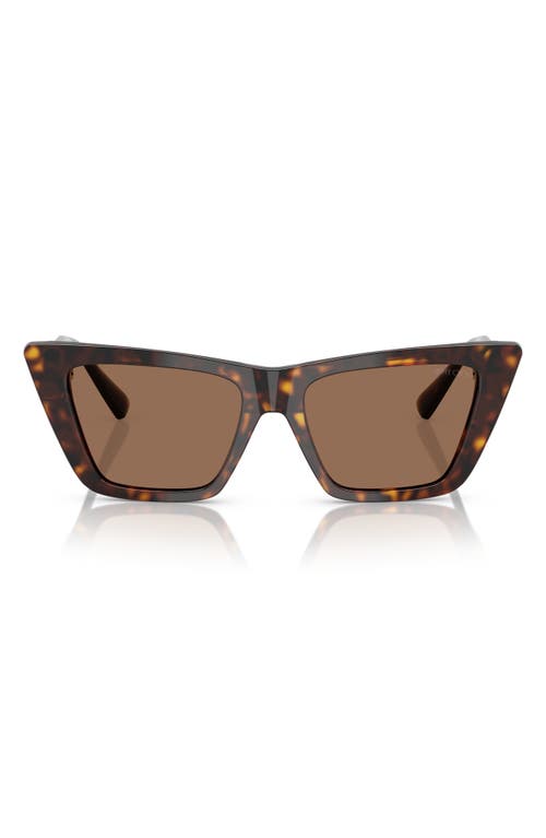 Jimmy Choo 53mm Cat Eye Sunglasses In Havana
