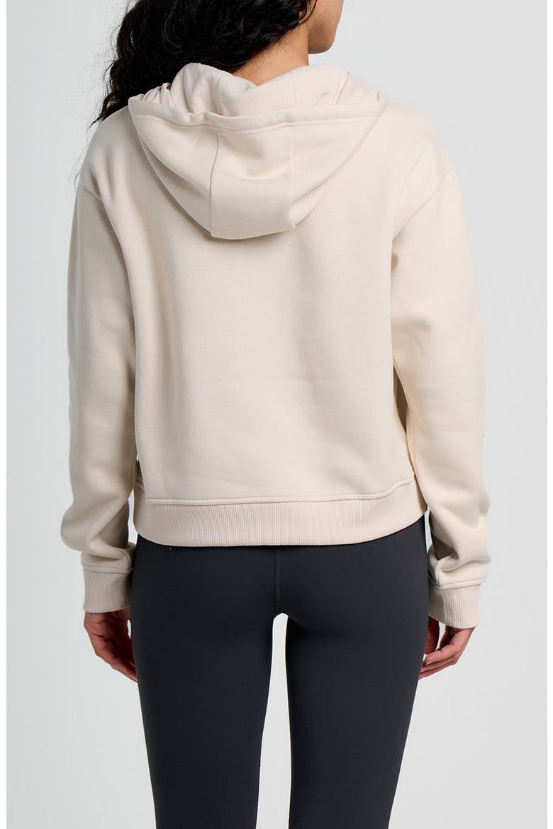 Northcoast Fleece Half Zip Hoodie, Alternate, color, STONE