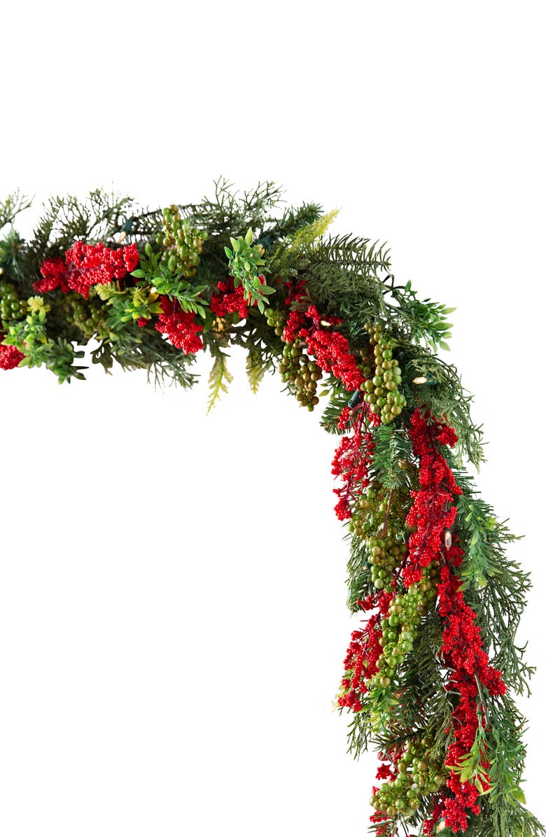 Balsam Hill Pre Lit Berry Burst Outdoor Garland, Main, color, 
