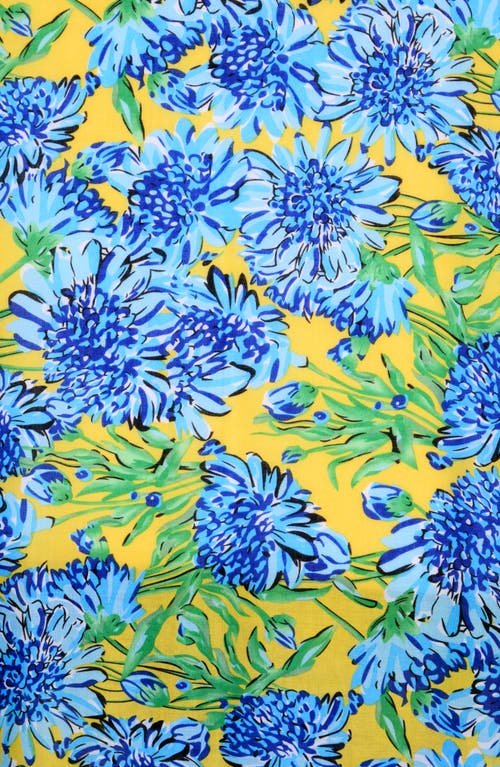 Area Stars Flower Print Scarf In Blue