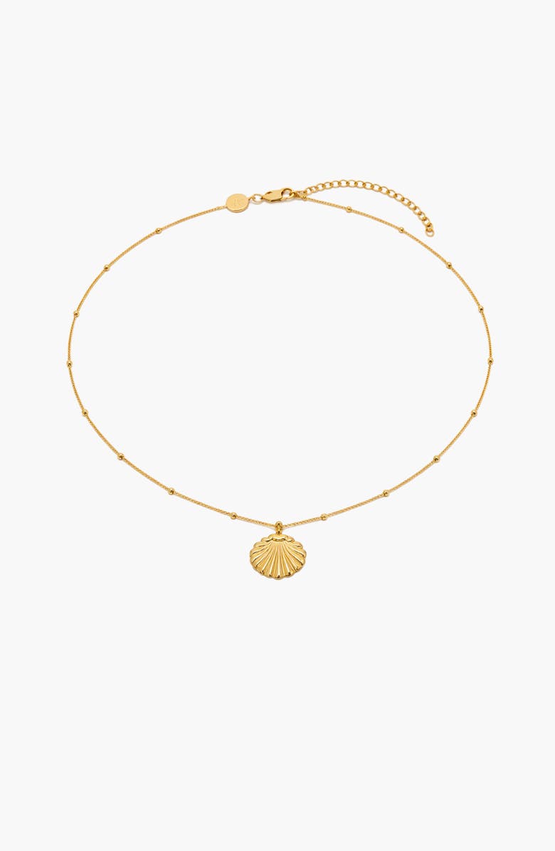 YOJ Conchigla Beaded Shell Choker Necklace in Gold, Main, color, Gold