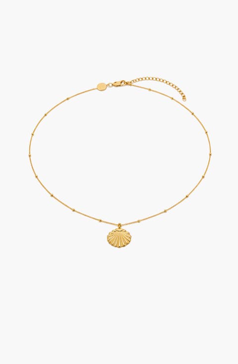 Conchigla Beaded Shell Choker Necklace in Gold