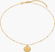 YOJ Conchigla Beaded Shell Choker Necklace in Gold