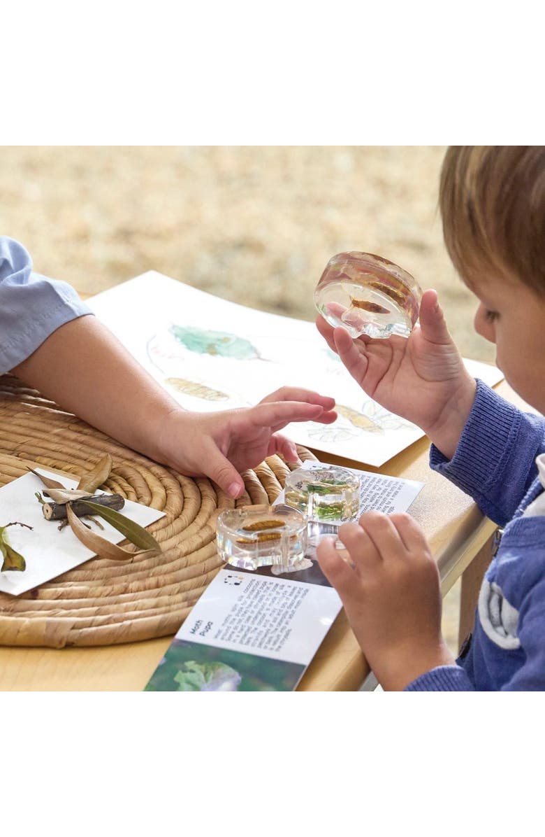 Kaplan Early Learning Company Specimen Life Cycle Puzzles Moth, Alternate, color, Multicolored