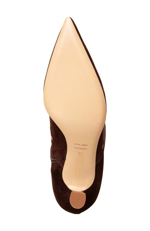 Beautiisoles Vanessa Pointed Toe Tall Boot In Brown