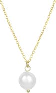 Katie Dean Jewelry Long Pearl Pendant Necklace