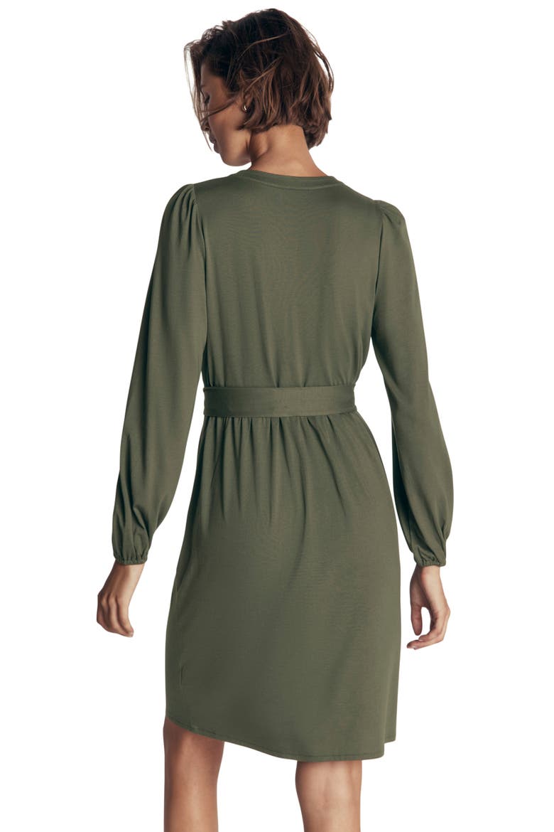 Adele Belted Jersey Dress, Alternate, color, CHROME GREEN