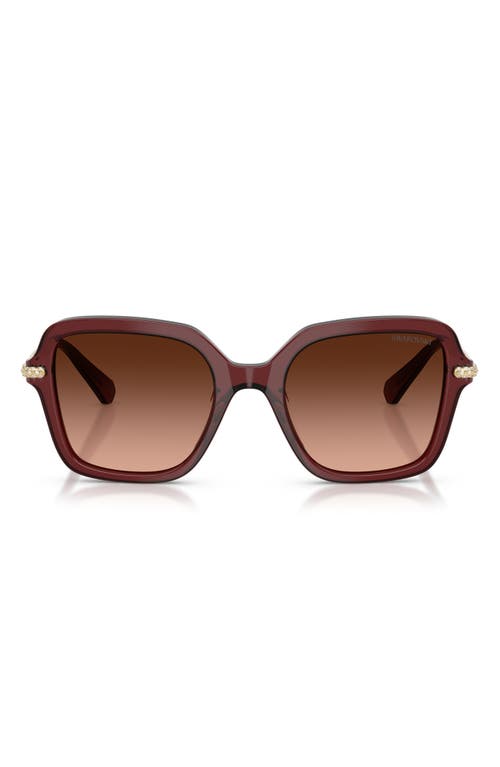 Swarovski 50mm Small Irregular Sunglasses In Brown