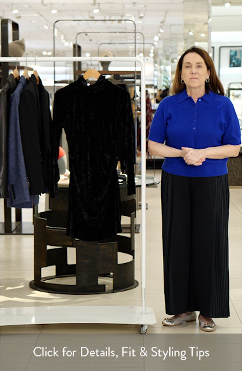 Beatrice Side Shirred Long Sleeve Velvet Minidress, sales video thumbnail