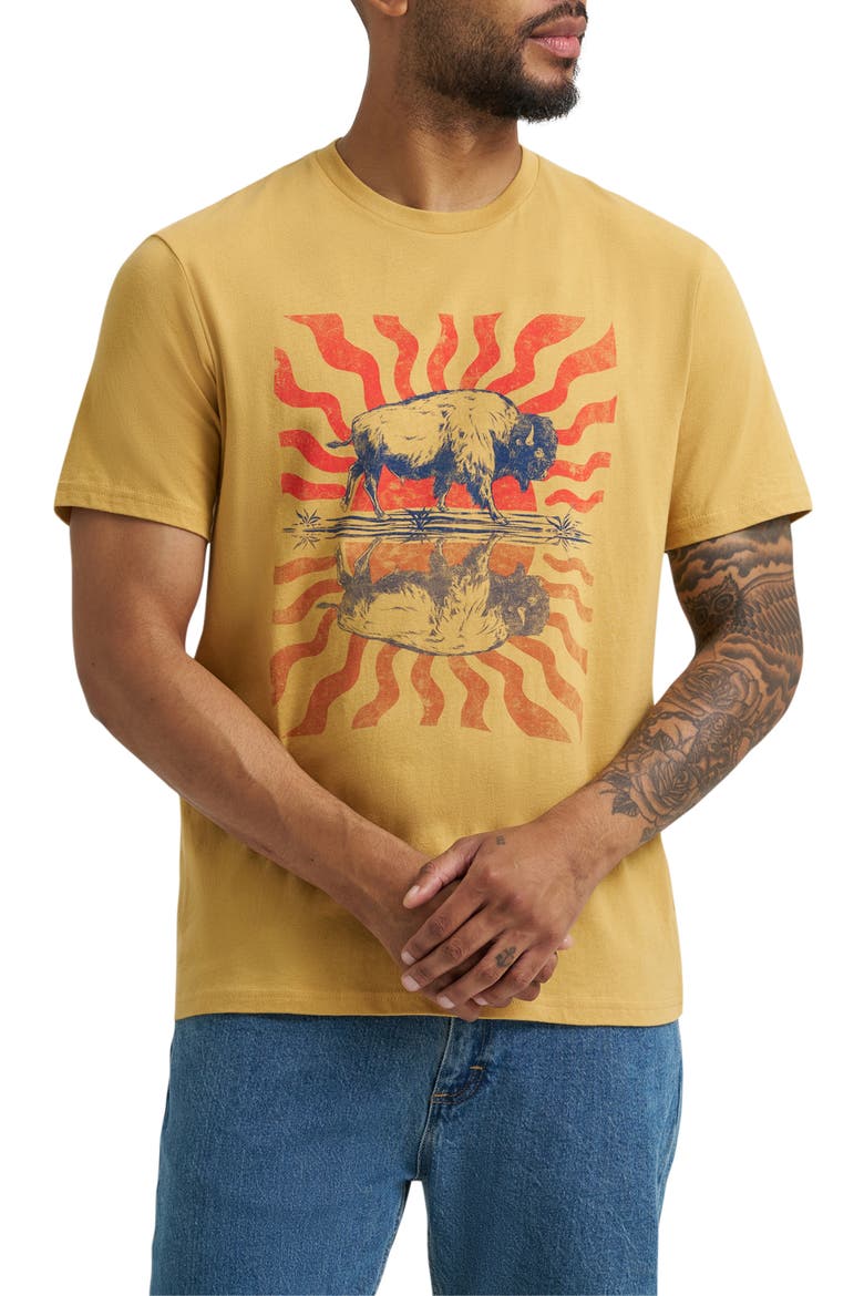 Cotton Graphic T-Shirt, Main, color, PALE GOLD