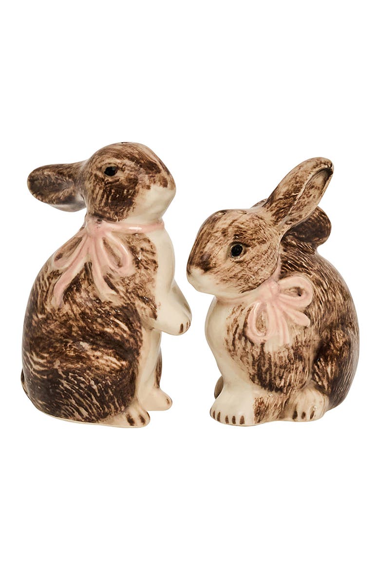 Clever Creatures Bunny Salt & Pepper Shakers Set, Main, color, WALNUT