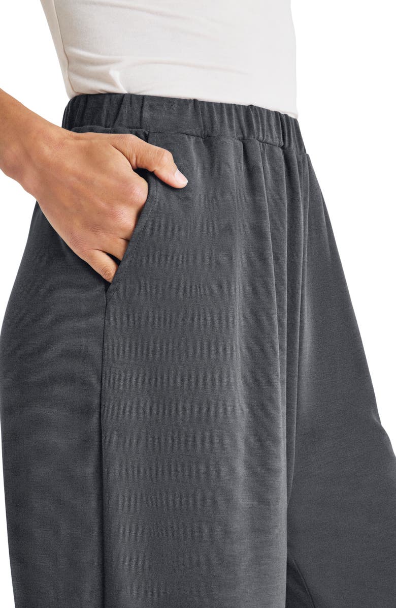 Splendid Giada Sandwash Palazzo Pants, Alternate, color, 