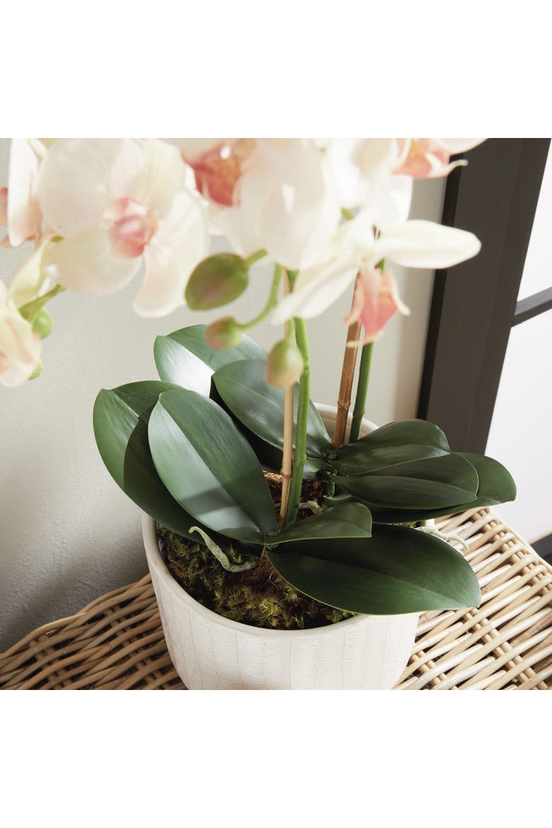 Phalaenopsis Orchid Artificial Plant Drop-In, Alternate, color, Pink