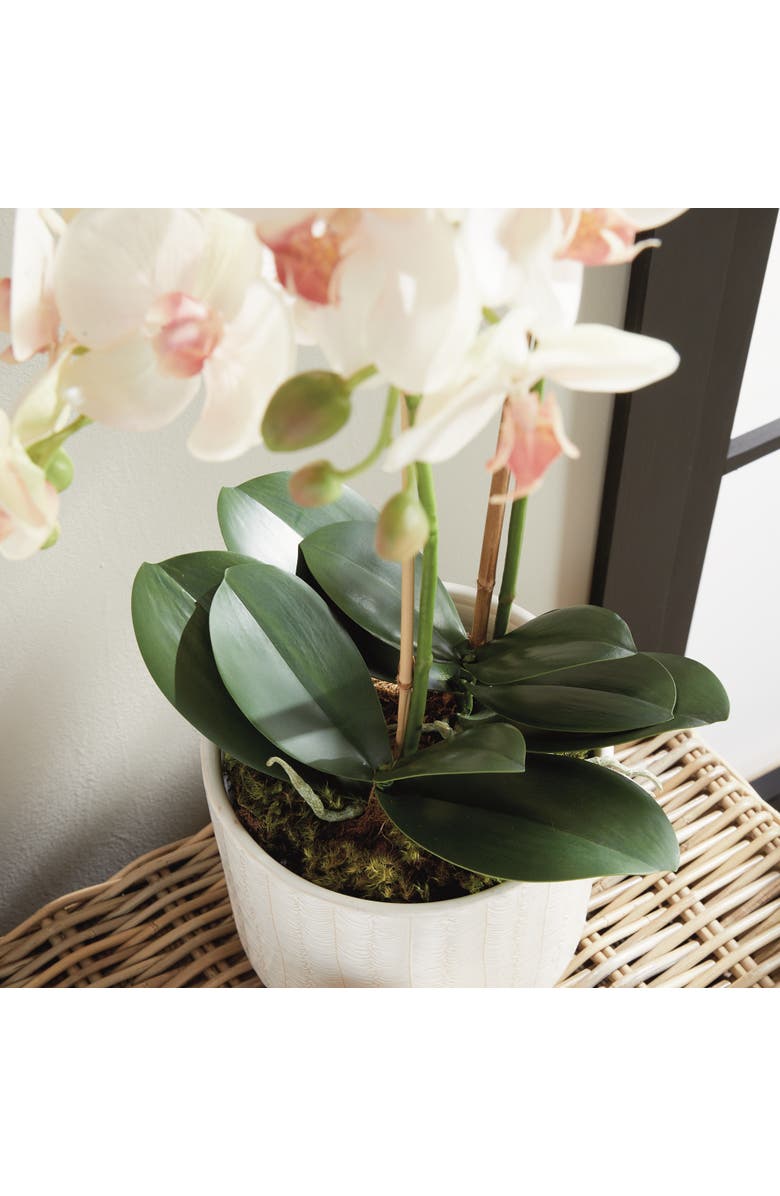Napa Home & Garden Phalaenopsis Orchid Artificial Plant Drop-In, Alternate, color, Pink