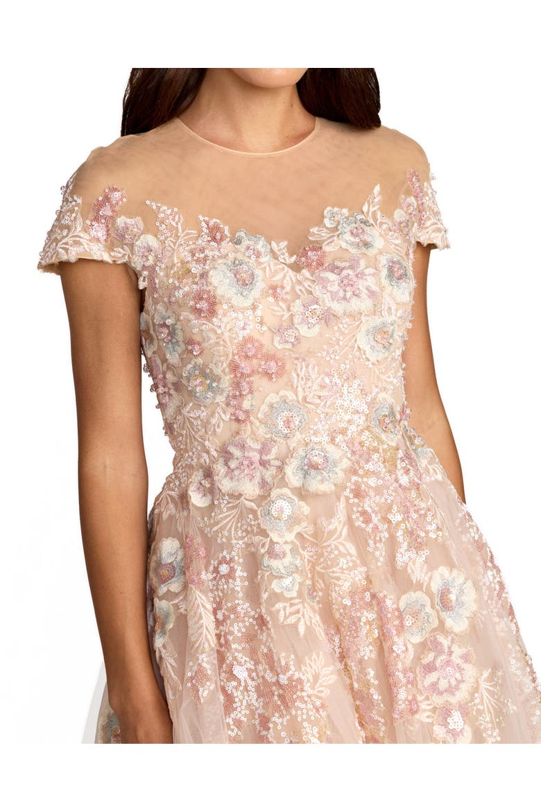 Embroidered Tulle Illusion Neck Cap Sleeve Dress, Alternate, color, Blush Multi